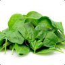 Pile of Spinach