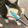 StealYourLungs