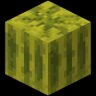 melon_cubed