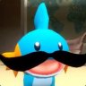 Stachekip