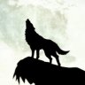 Wolfrunner