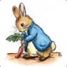 Peter Rabbit