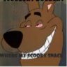 SCOOBERT DOOBERT