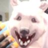 beargaming