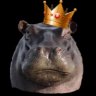 Hippo King
