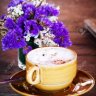 Capuccino