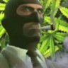 Stoner Spy
