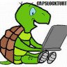 CAPSLOCKTURTLE