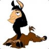 LlamaLips