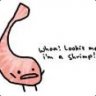 Ornf