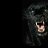 LeCatBlack