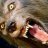Wolfman ∞