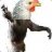 ChickenMonkey