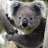GTM.Koala