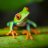 sexyGreenFrog