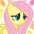 Fluttershi