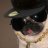 Pugz