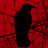 raVen52