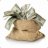 CFFG.MarketingAndRef> B: keys!