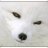 Xiro.Fawks