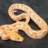 Procrastinator Python