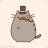 Jimmy The Cat