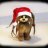 Rasta Bear ☮ -Santa Pootis-