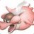 -Flying Pigs- Blbec