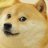 Doge Such Cool