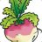 Urbanturnip