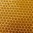 [Gi] Beehive