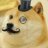 Detective Doge
