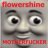 flowershine
