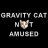 Ｇｒａｖｉｔｙ Ｃａｔ