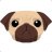 pugg