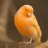 The_Drunk_Canary