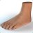 Foot