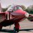 Folland Gnat