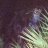 emily.plays.flute44