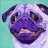That_Gamer_Pug