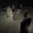 TheGraveDigger