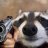 Fren