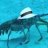 Mobster Lobster