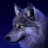 Wolfx