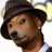 Scoobs