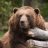 Sleepy Bear