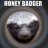 CallMeHoneyBadger