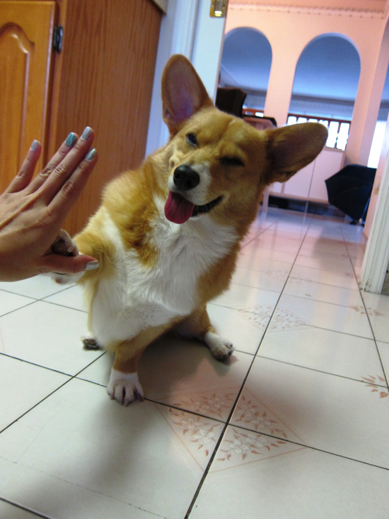 tumblr_mh9dj8uxDg1rmmwgxo1_1280.jpg
