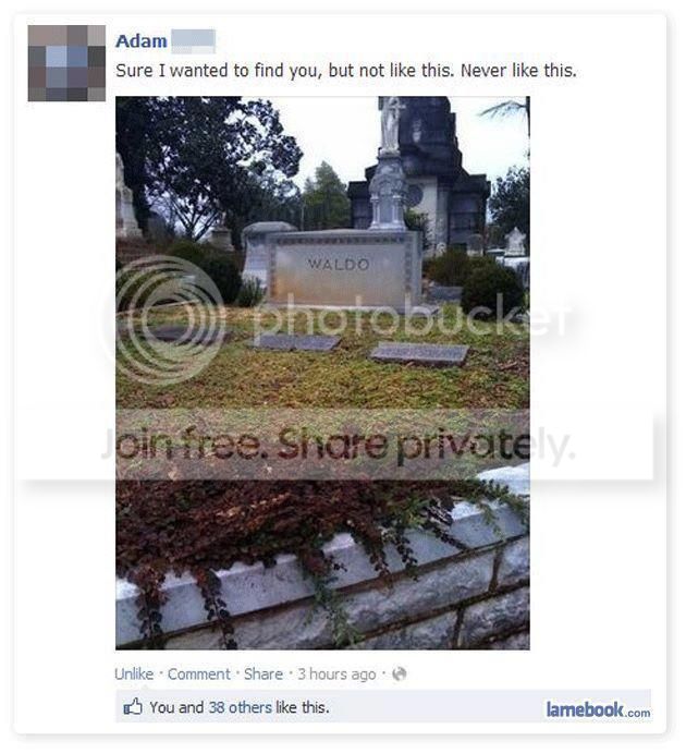 tumblr_mb59napi1D1qhvdyfo1_1280.jpg