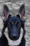 d2cde27029a615062a6685d4d1c32773.png